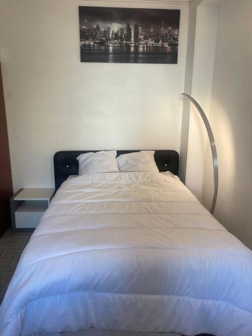 Appartement Croix Rousse 69004 Lyon Eksteriør billede