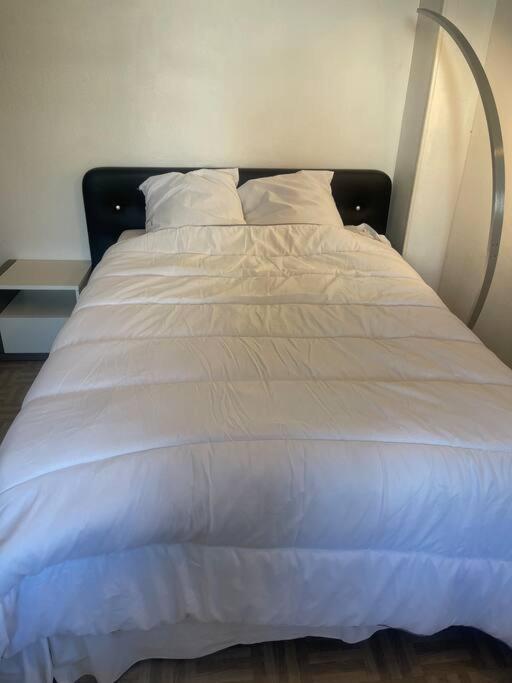 Appartement Croix Rousse 69004 Lyon Eksteriør billede